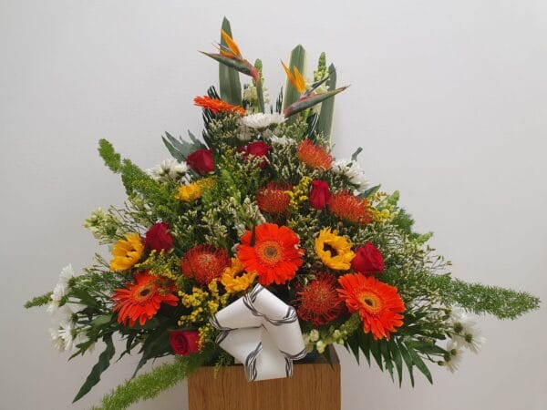 Centros de 60€